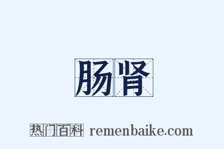 肠肾是什么意思的图片